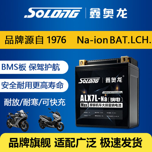 鑫奥龙大排量机车摩托车钠电池