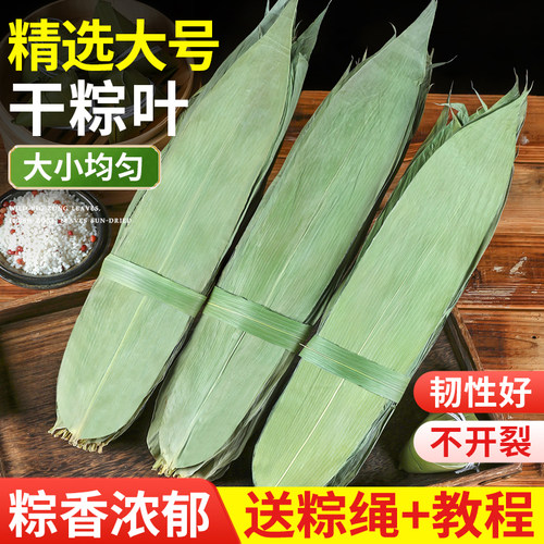 精选大号干粽叶粽子叶