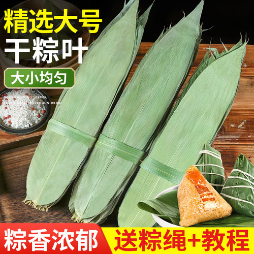 粽叶干粽子叶棕叶大号天然野生
