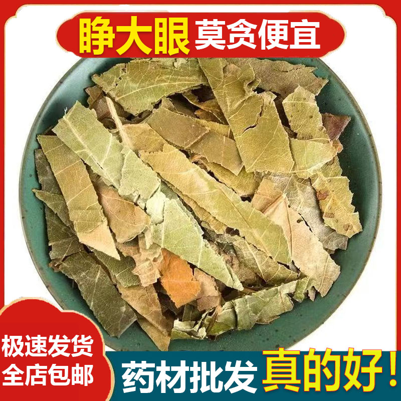 原色无熏硫材野生枇杷叶新货枇杷叶茶枇杷叶干货生枇杷叶