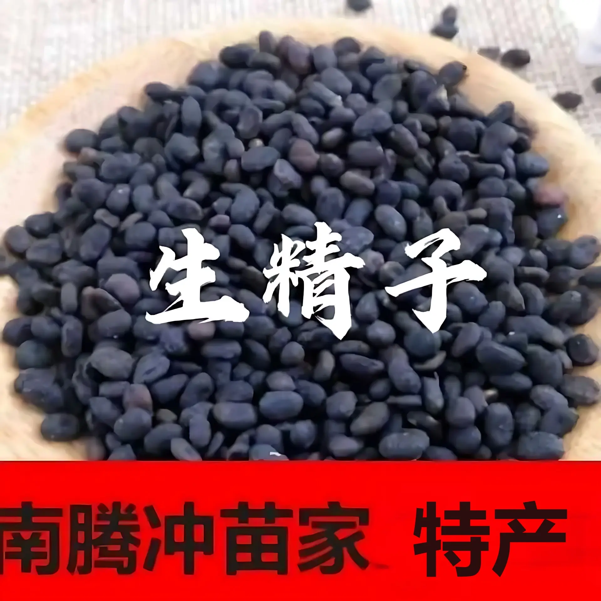 正宗生精子野生中药材新品热销云南腾冲苗家特产泡酒药料药酒