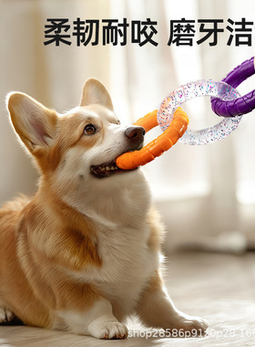 狗狗玩具耐咬磨牙洁齿解闷边牧柴犬中小型犬训练玩耍TPR玩具三环