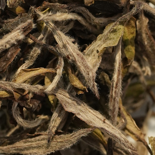 2019年 老树白毛茶 牡丹王 100g