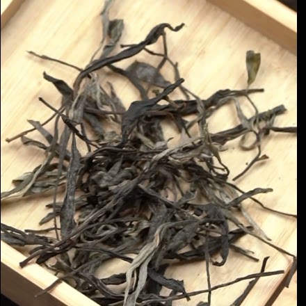 【纯料薄荷塘】2024年春茶 易武 古树普洱生茶  佩选茶文化出品