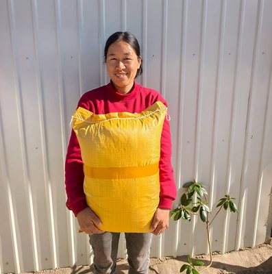 高山纯净橡树腐叶土疏松透气兰花君子兰腐殖土营养土树萝卜用土