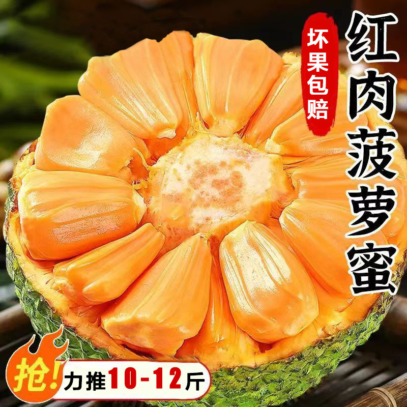 泰8正宗红肉菠萝蜜8-12斤整个大果爆甜脆爽干苞红心木菠萝新鲜