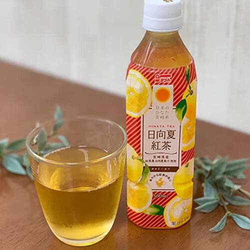 日本进口宫崎县农协橘子味红茶