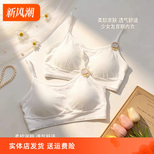 香蜜闺秀少女二阶段无钢圈背心文