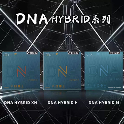 斯帝卡DNAHYBRID混动M粘性内能