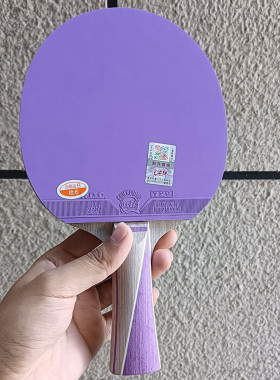 正品银河EC11 EC-11 EC12 EC13科技碳素乒乓球拍底板球拍