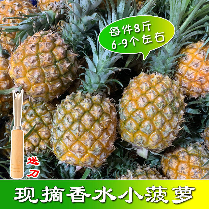 现摘熟果新鲜小菠萝当季孕妇水果