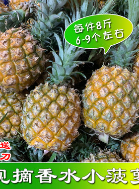 现摘熟果新鲜小菠萝当季孕妇水果