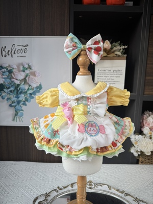 DANI高定手工娃衣定制棉花娃娃裙