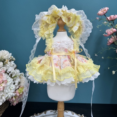 DANI原创手工娃衣定制礼服公主裙