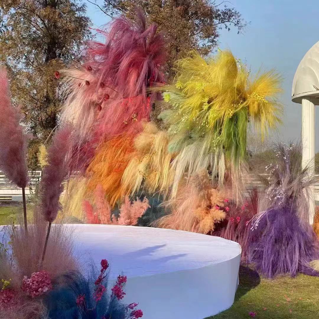 龙须草永生花梦幻芦荀草