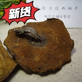 东北特产野生松蘑菇树黑蘑菇粘团子山蛾子500g干货食用菌黄滑松茸