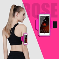 Роза красный [5,5-6,5 дюйма] большой универсальный