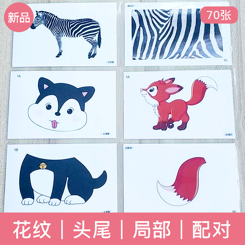 动物尾巴花纹局部认知康复训练