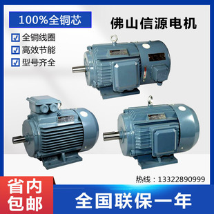 广东佛山信源电机厂YE3YE2YE4 卧式立式电动机三相异步马达全铜芯