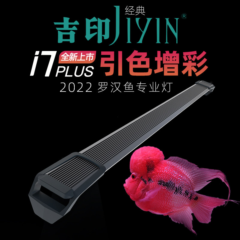 吉印罗汉鱼专业鱼缸灯图片