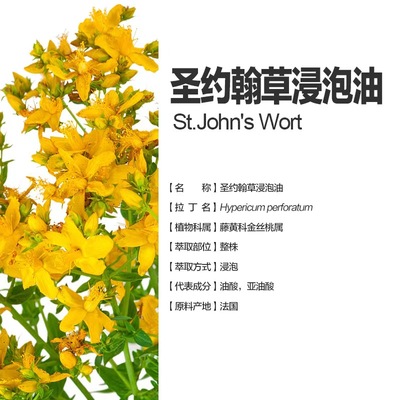法国 圣约翰草浸泡油100ml 圣约翰草 肌肉关节按摩