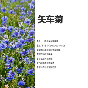 有机矢车菊纯露500ml  产地波斯尼亚  运费问题联系客服