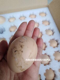 四川农家正宗放养粮食鸡土鸡蛋吃粮食石头草草的鸡的鸡蛋60个包邮