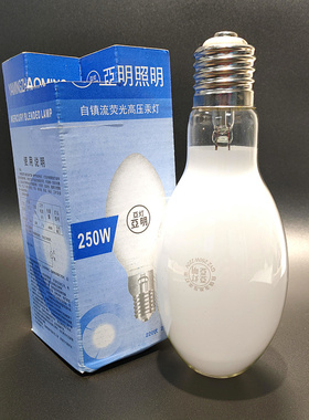 GYZ250亚灯亚明自镇流荧光高压汞灯250W水银灯泡220VE40灯口诱虫