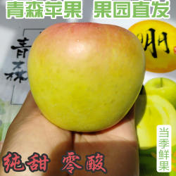 日本青森苹果新鲜松脆纯甜水蜜桃宝山明月青苹果丑当季水果整箱