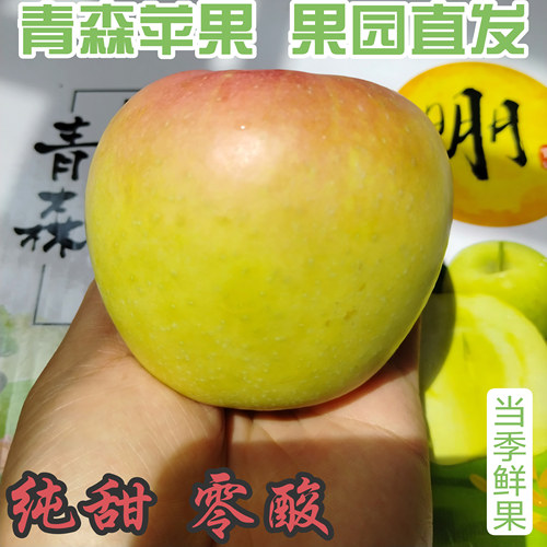 日本青森苹果正宗明月苹果纯甜酥脆水蜜桃苹果青孕妇新鲜当季鲜果