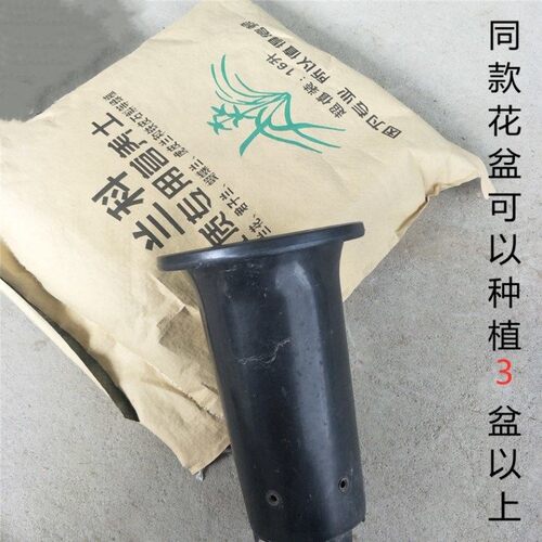 高温发酵植料菖蒲月季兰花壮苗根