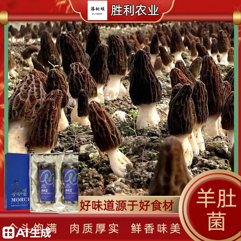 特级羊肚菌150g盒装礼盒装陕西特产汉中特产