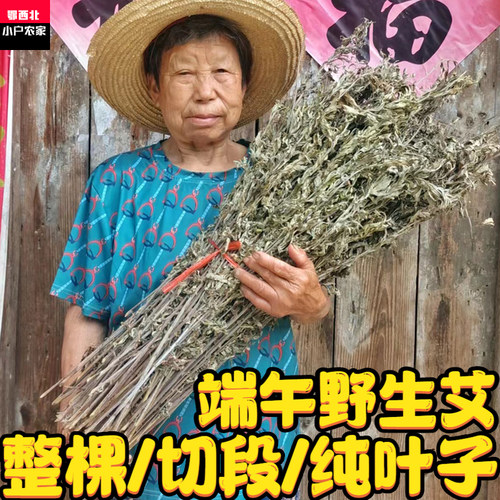 正宗端午艾整棵挂门驱蚊野生艾草