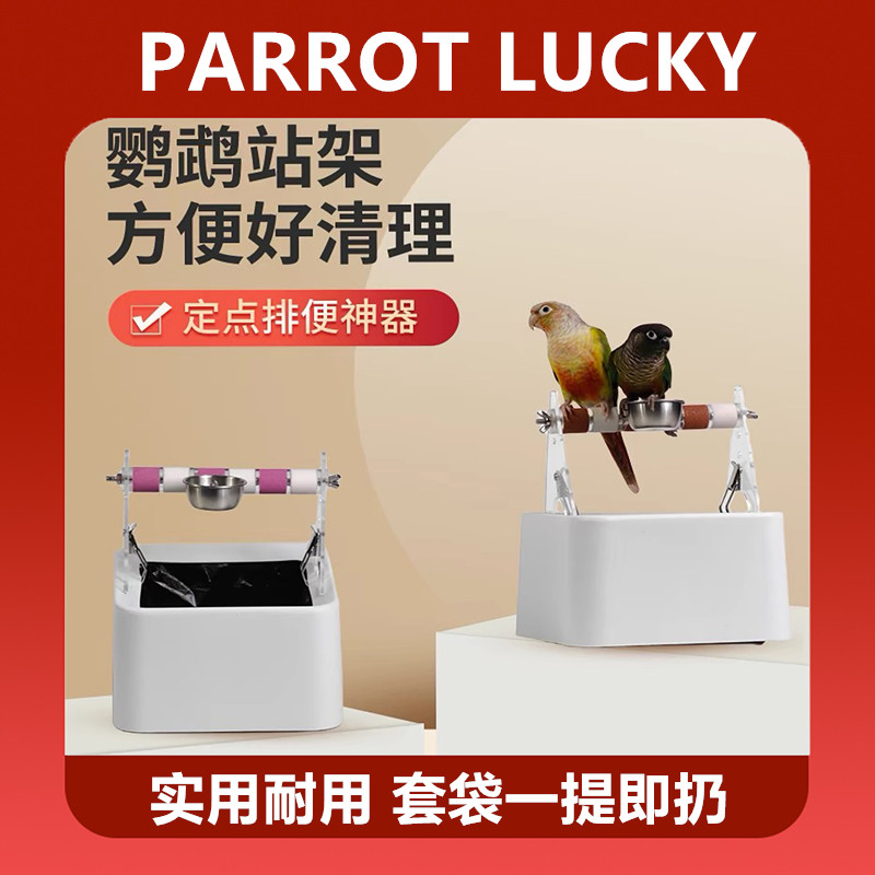 鹦鹉鸟排便桶不会乱拉