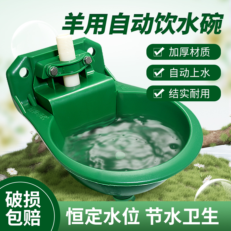 羊用饮水碗全自动牛羊喝水通用