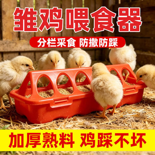 长方形多孔迷你小鸡喂食槽