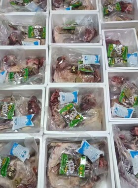 靖远羊羔肉整只12斤包邮