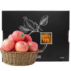 富岗苹果 水果当季新鲜太行山红富士199#12枚装礼盒箱 邢台特产