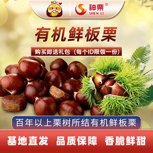 神栗 2025年百年燕山新鲜当季有机生板栗5斤装宽城特产产地直发