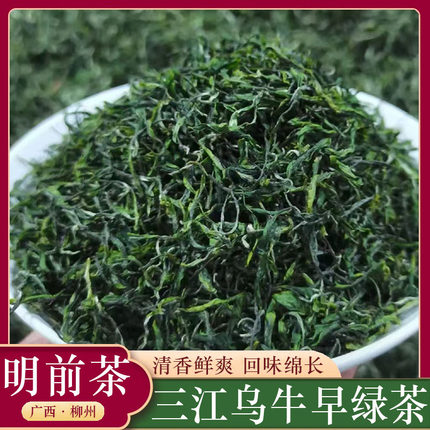 明前乌牛早毛尖绿茶2026新茶三江绿茶广西柳州高山茶叶侗乡绿茶