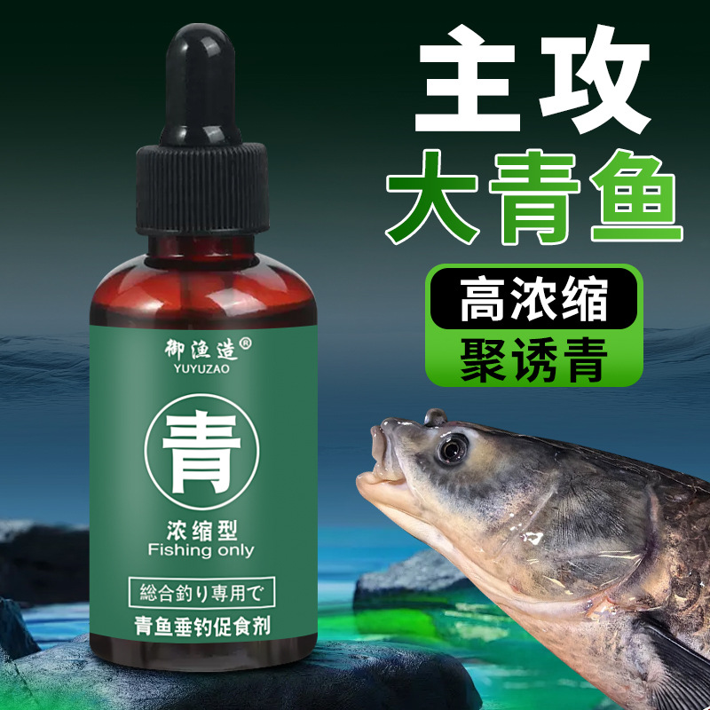 青鱼钓鱼小药野钓黑坑大物泡螺蛳