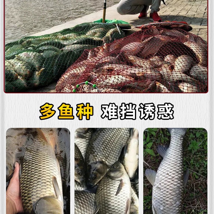 纯丁香油钓鱼专用公丁香酒中药三