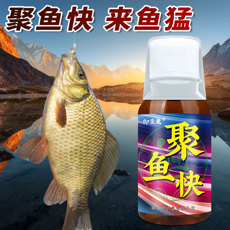 聚鱼快窝不散钓鱼小药水套装野钓