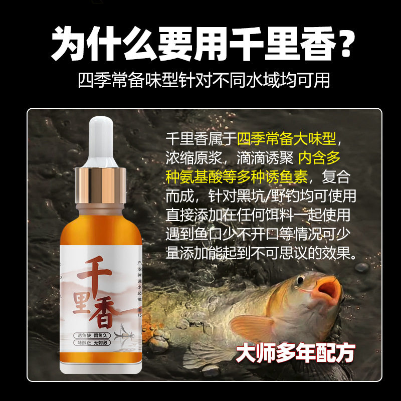 高浓钓鲫鱼鲤鱼千里香诱鱼剂鲫鱼