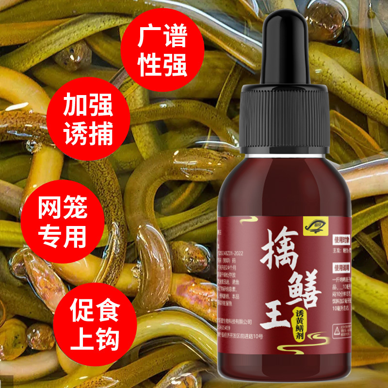 擒鳝王诱钓鳝鱼蝉鱼黄鳝野钓野钓