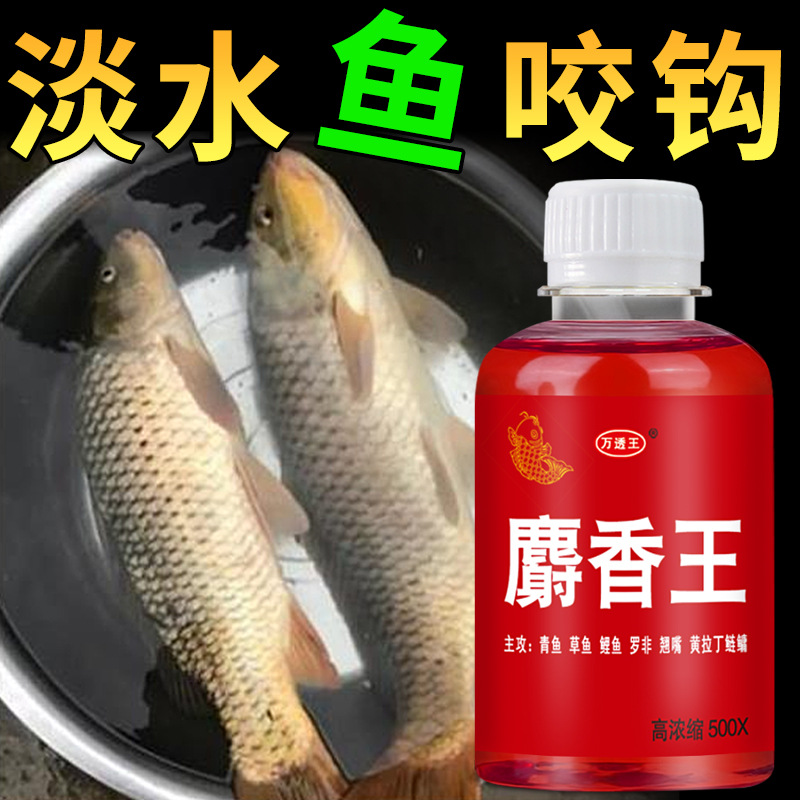 麝香王钓鱼小药野钓黑坑水库草鲤