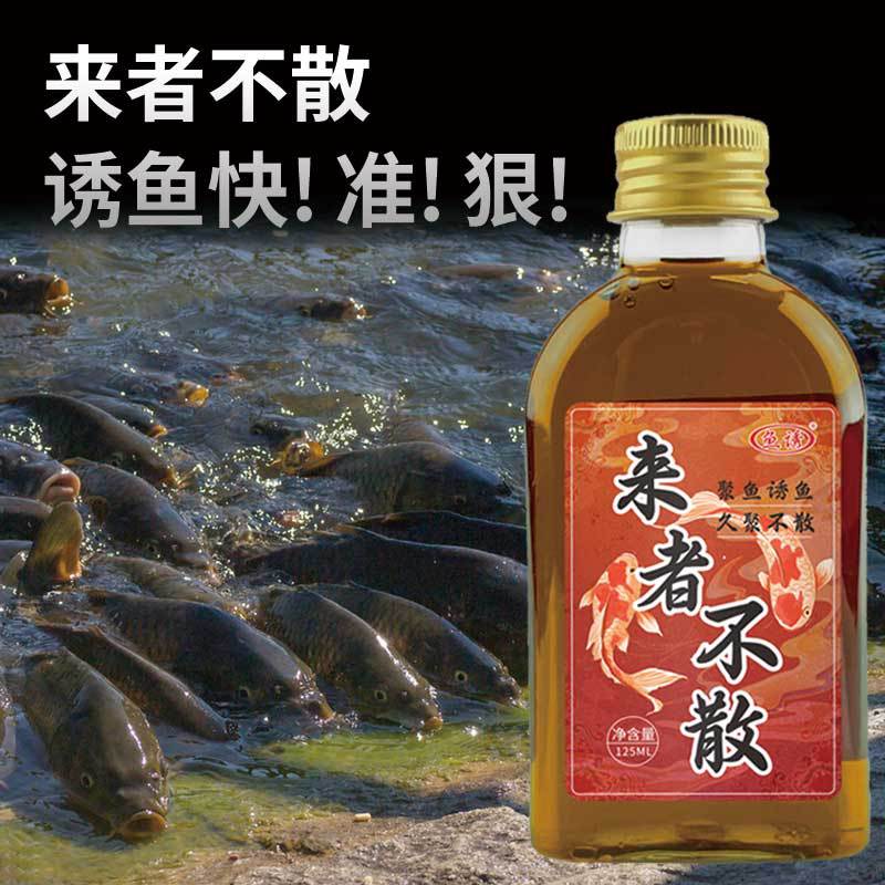 鱼诱来者不散垂钓用品钓鱼渔具饵