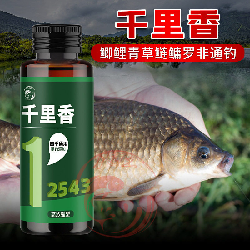 千里香春夏秋冬钓鱼小药黑坑野钓