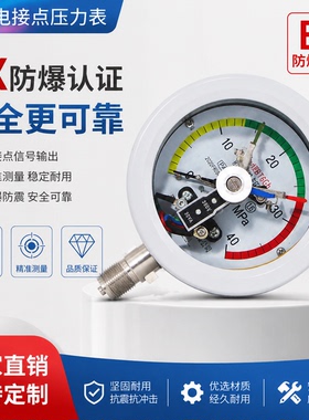 YTX-100B 防爆电接点压力表 ExdIIBT6隔爆型电接点压力表压力开关