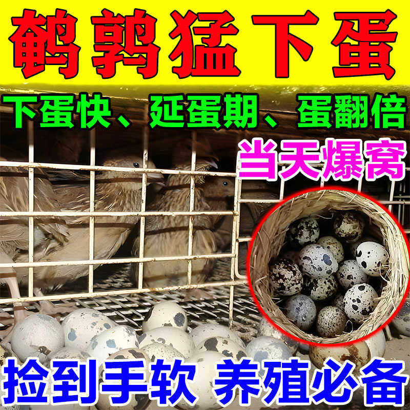鹌鹑下蛋神器鹌鹑产蛋饲料增蛋快速下蛋专治鹌鹑不下蛋蛋不受精,畜牧/养殖物资,饲料添加剂,淘宝优惠券,粉丝福利购,淘宝优惠卷
